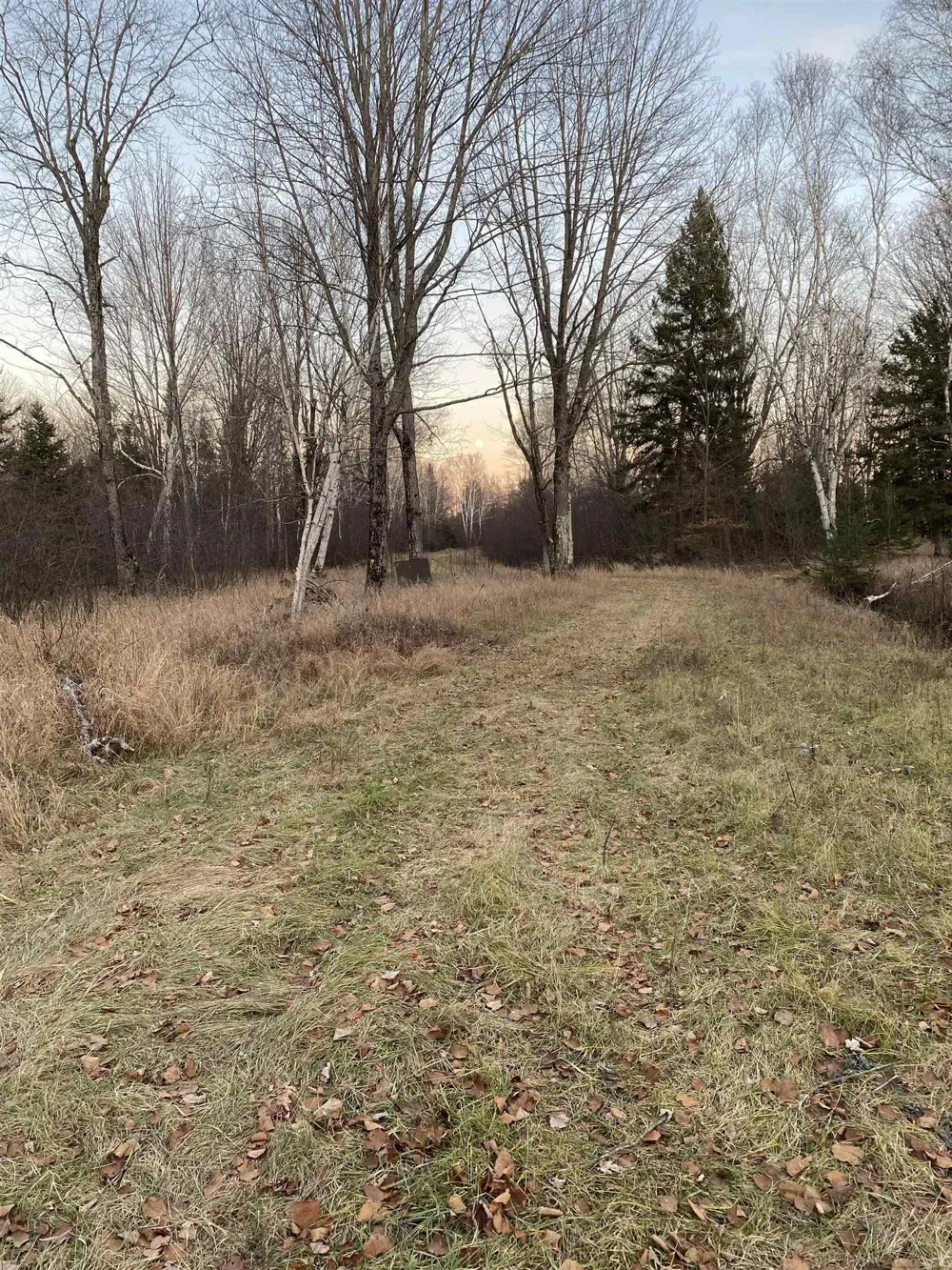 4011 Sandall Road Maple Ridge Township, MI 49707