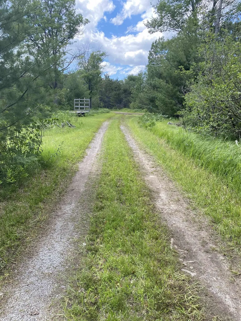4011 Sandall Road Maple Ridge Township, MI 49707
