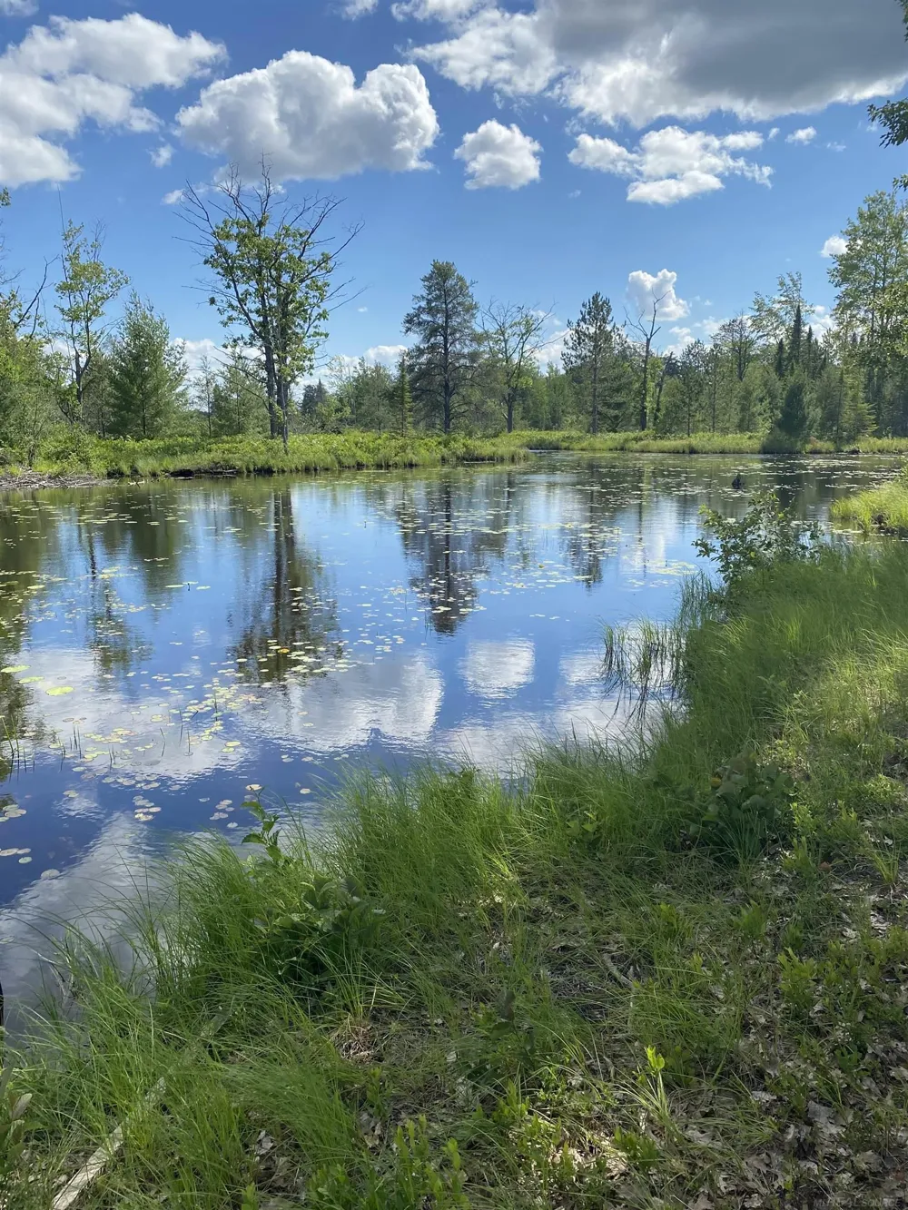4011 Sandall Road Maple Ridge Township, MI 49707