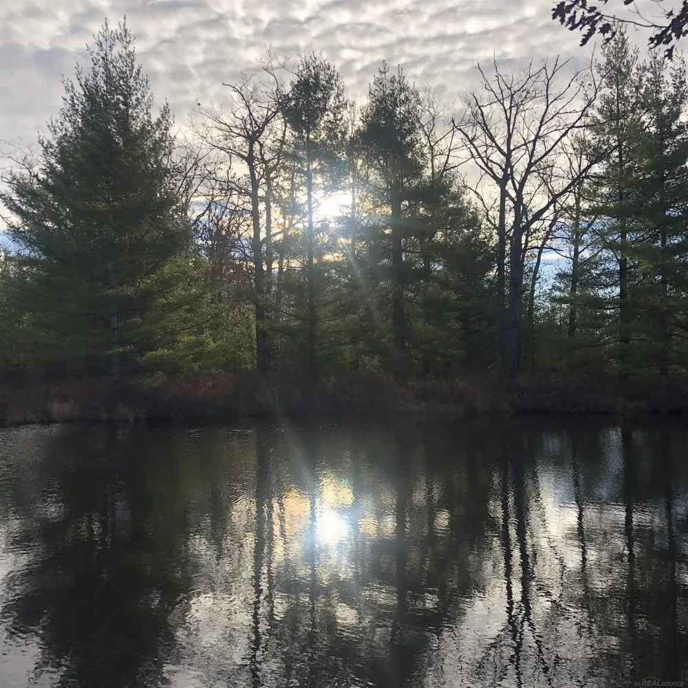 4011 Sandall Road Maple Ridge Township, MI 49707