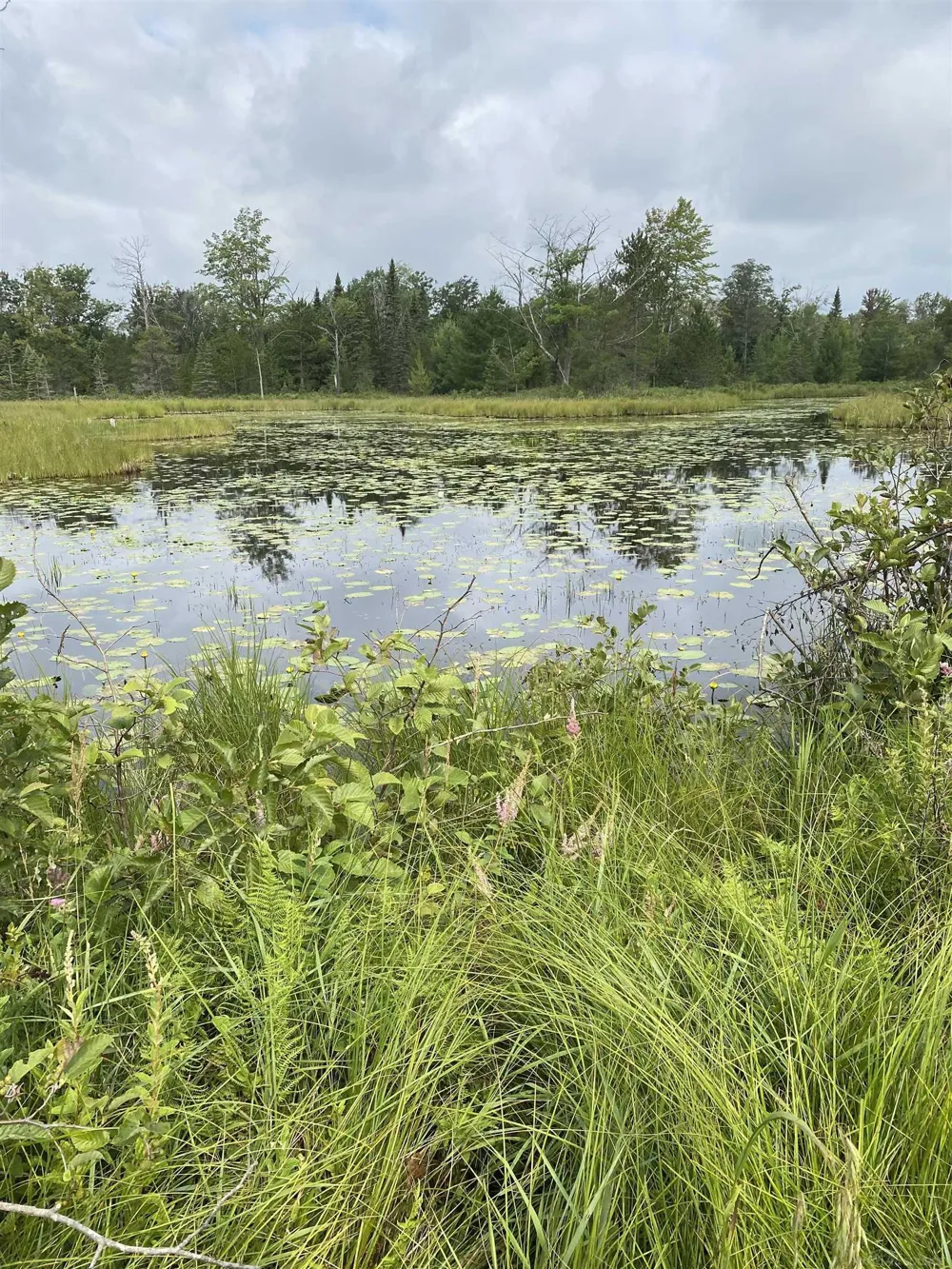 4011 Sandall Road Maple Ridge Township, MI 49707