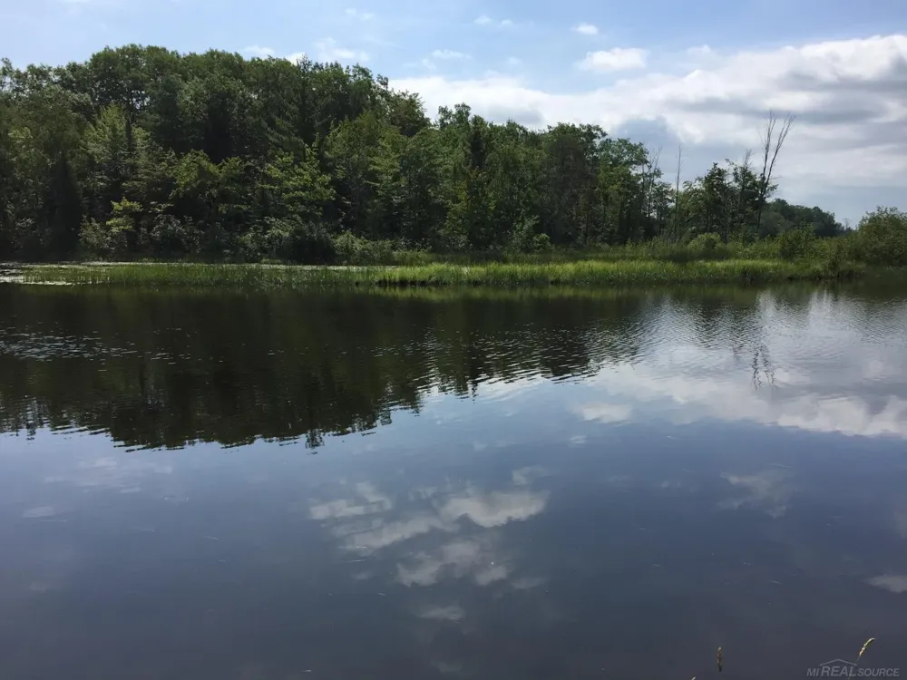 4011 Sandall Road Maple Ridge Township, MI 49707