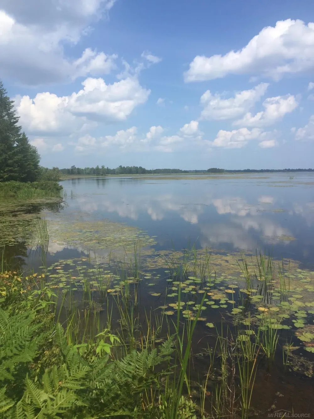 4011 Sandall Road Maple Ridge Township, MI 49707