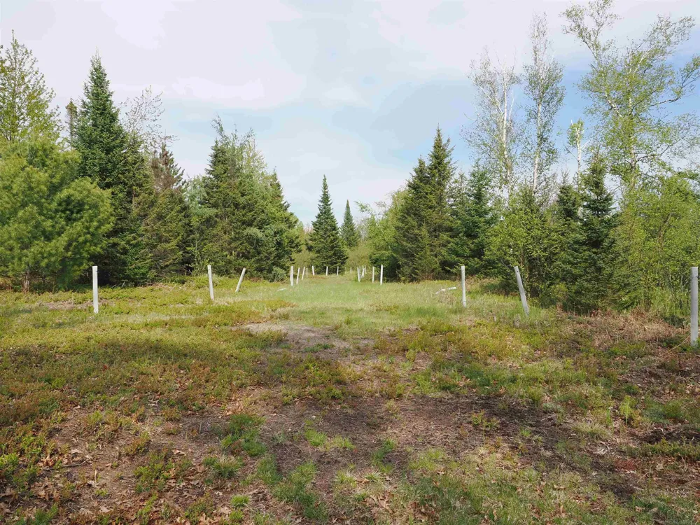 4011 Sandall Road Maple Ridge Township, MI 49707