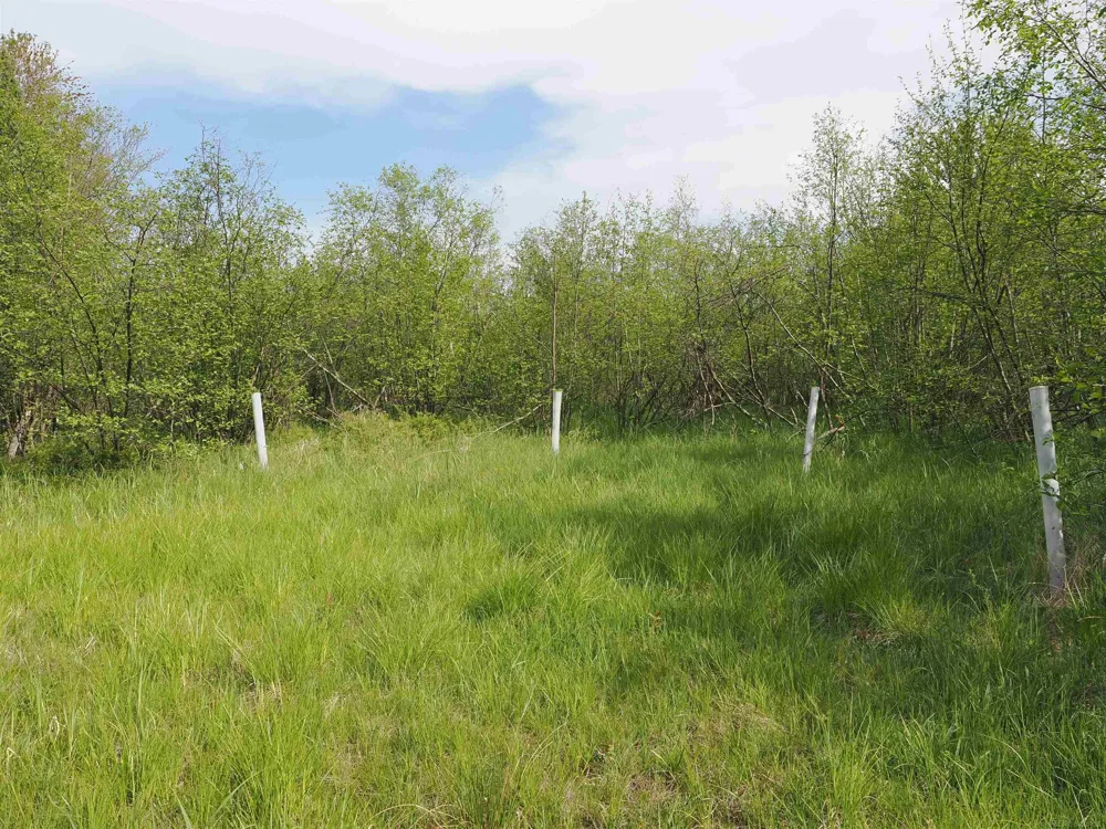 4011 Sandall Road Maple Ridge Township, MI 49707