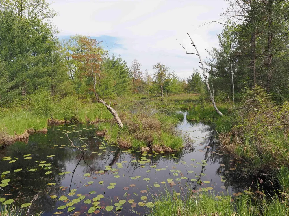 4011 Sandall Road Maple Ridge Township, MI 49707