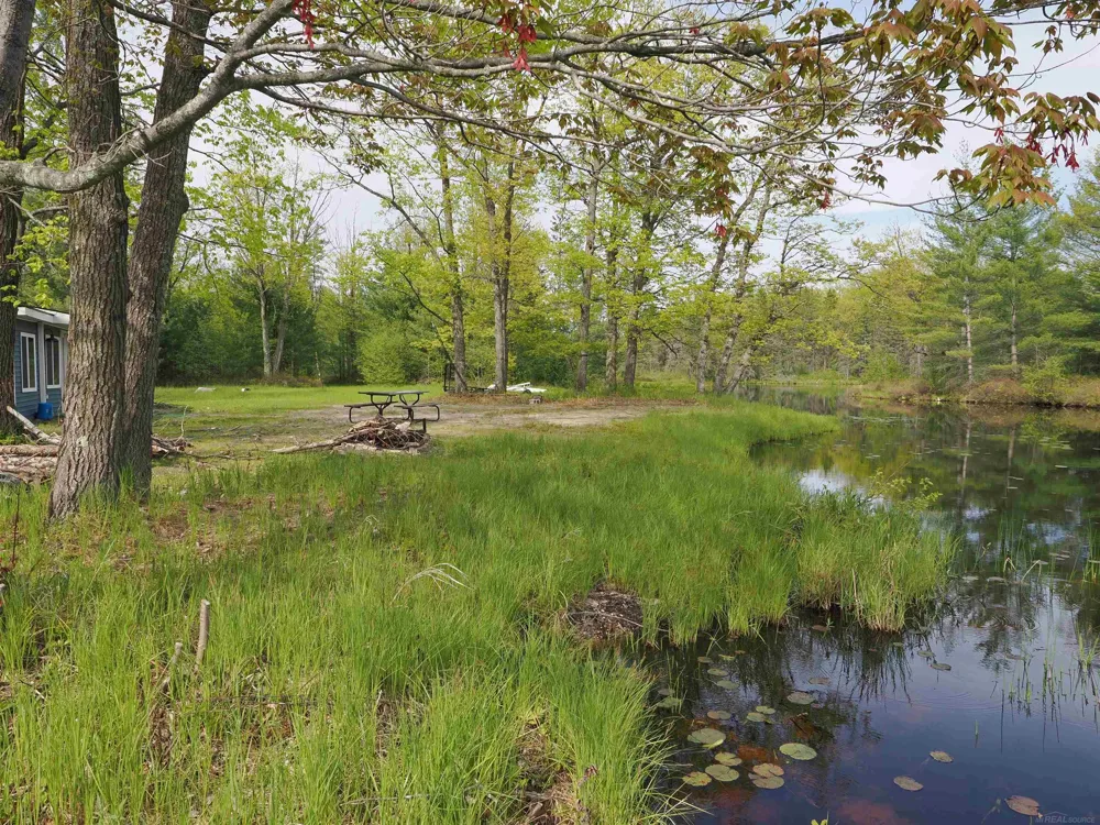 4011 Sandall Road Maple Ridge Township, MI 49707