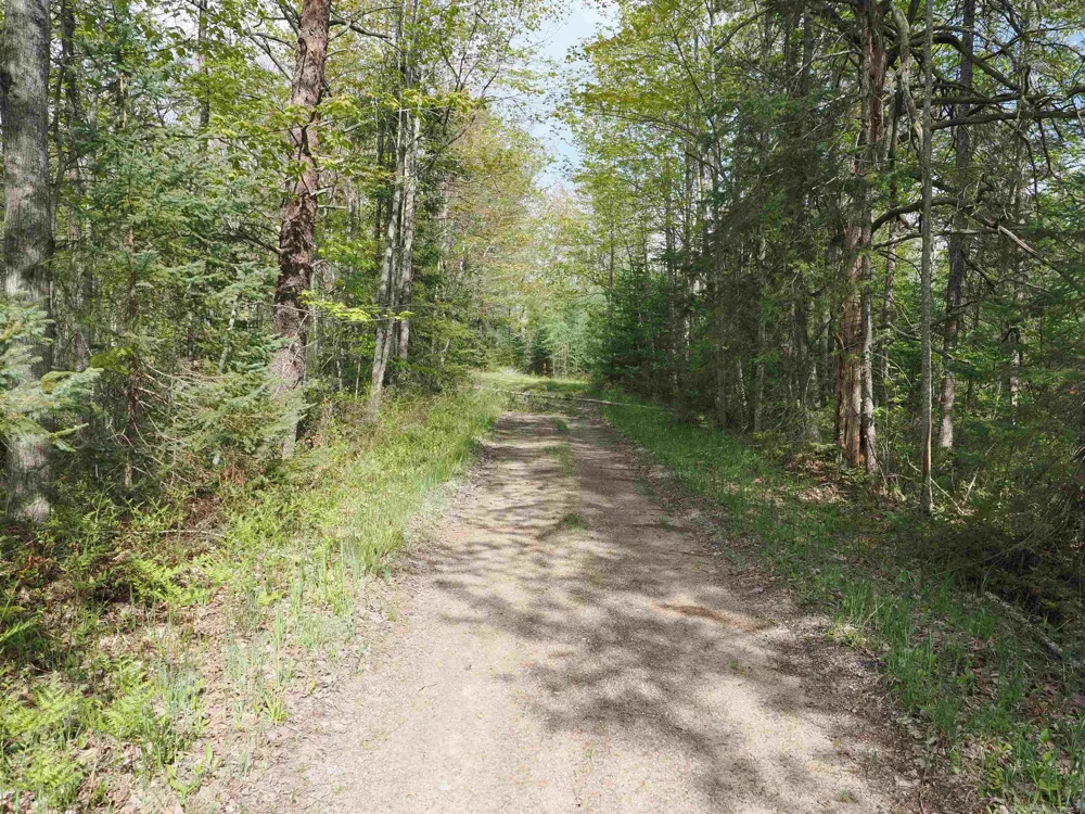 4011 Sandall Road Maple Ridge Township, MI 49707