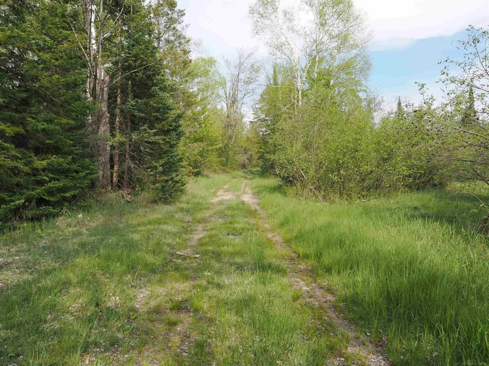 4011 Sandall Road Maple Ridge Township, MI 49707