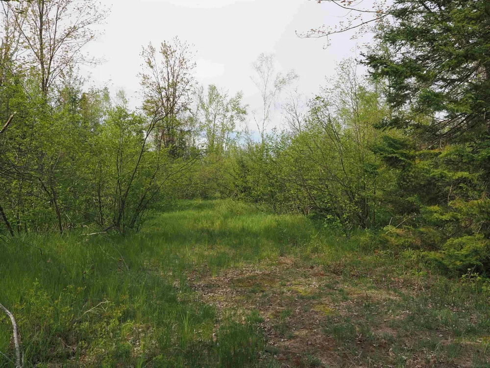 4011 Sandall Road Maple Ridge Township, MI 49707