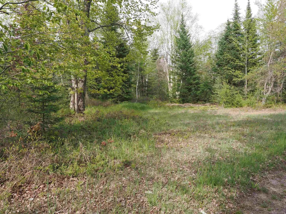 4011 Sandall Road Maple Ridge Township, MI 49707