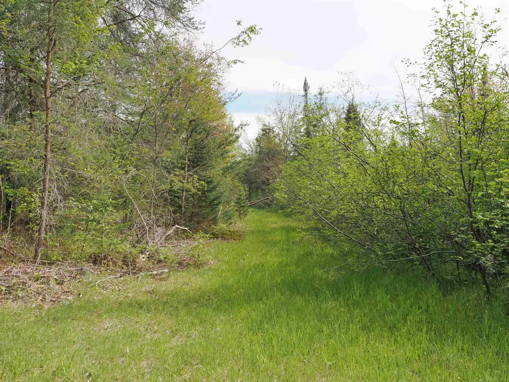 4011 Sandall Road Maple Ridge Township, MI 49707