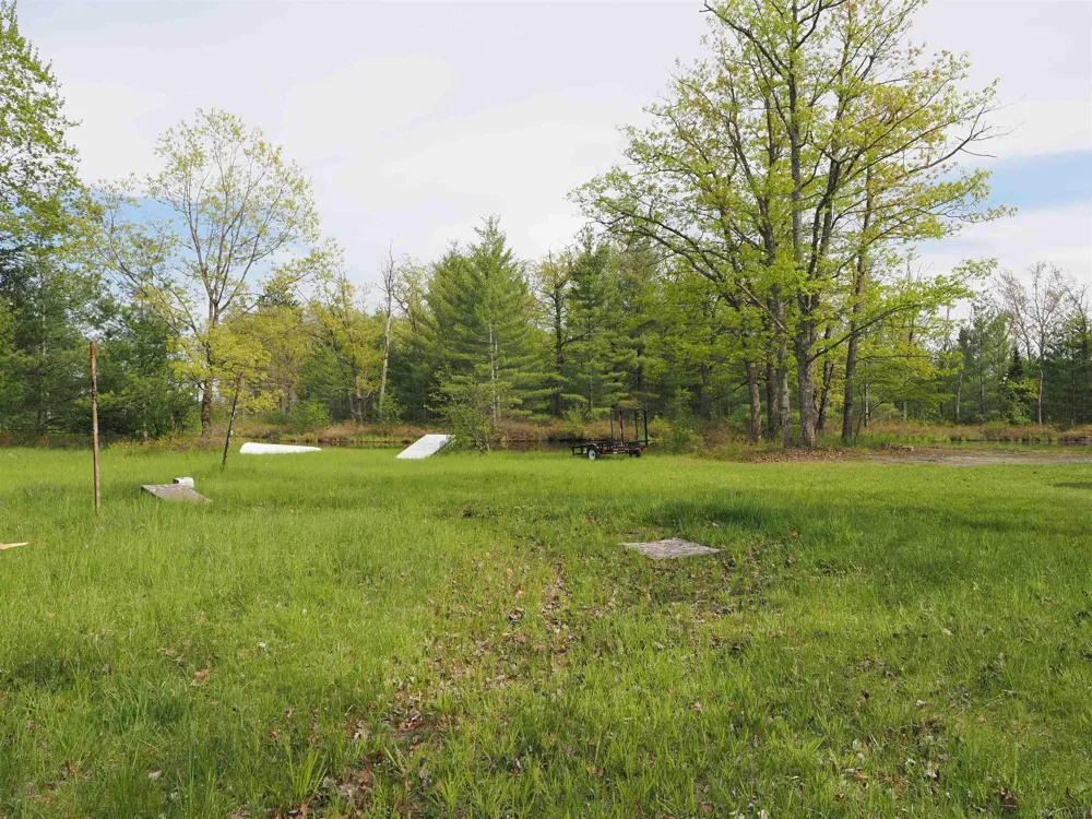 4011 Sandall Road Maple Ridge Township, MI 49707