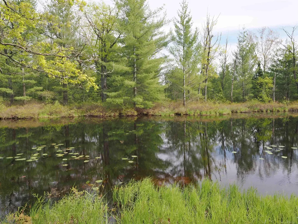 4011 Sandall Road Maple Ridge Township, MI 49707