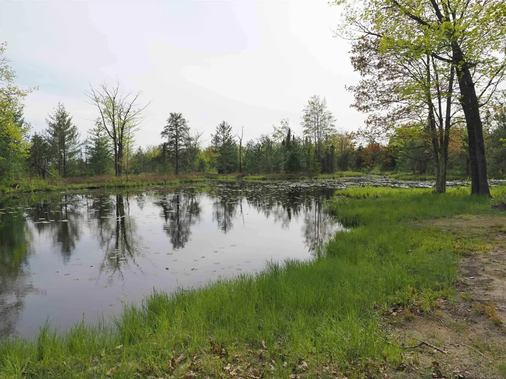 4011 Sandall Road Maple Ridge Township, MI 49707