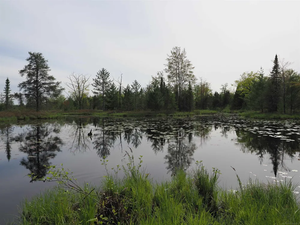 4011 Sandall Road Maple Ridge Township, MI 49707