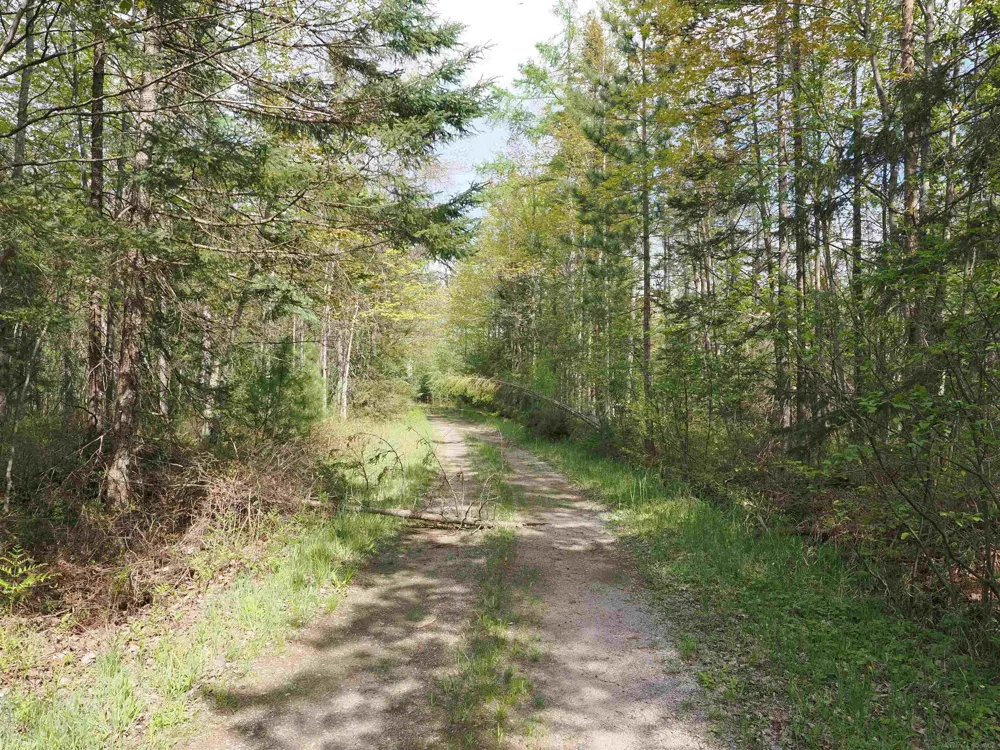 4011 Sandall Road Maple Ridge Township, MI 49707