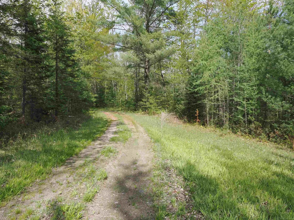 4011 Sandall Road Maple Ridge Township, MI 49707