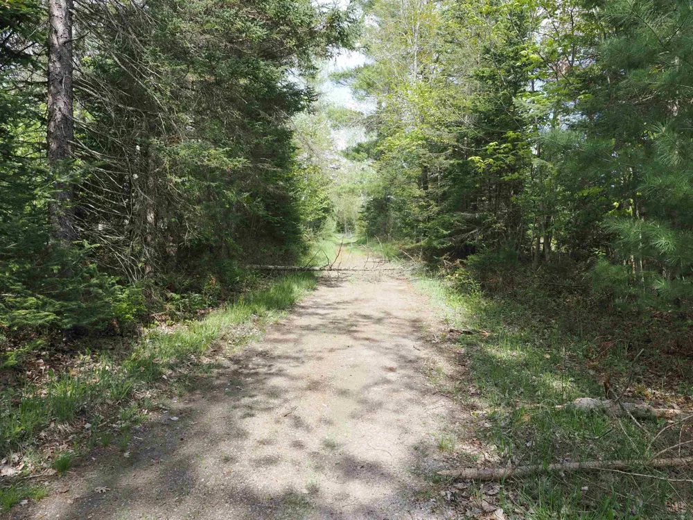 4011 Sandall Road Maple Ridge Township, MI 49707