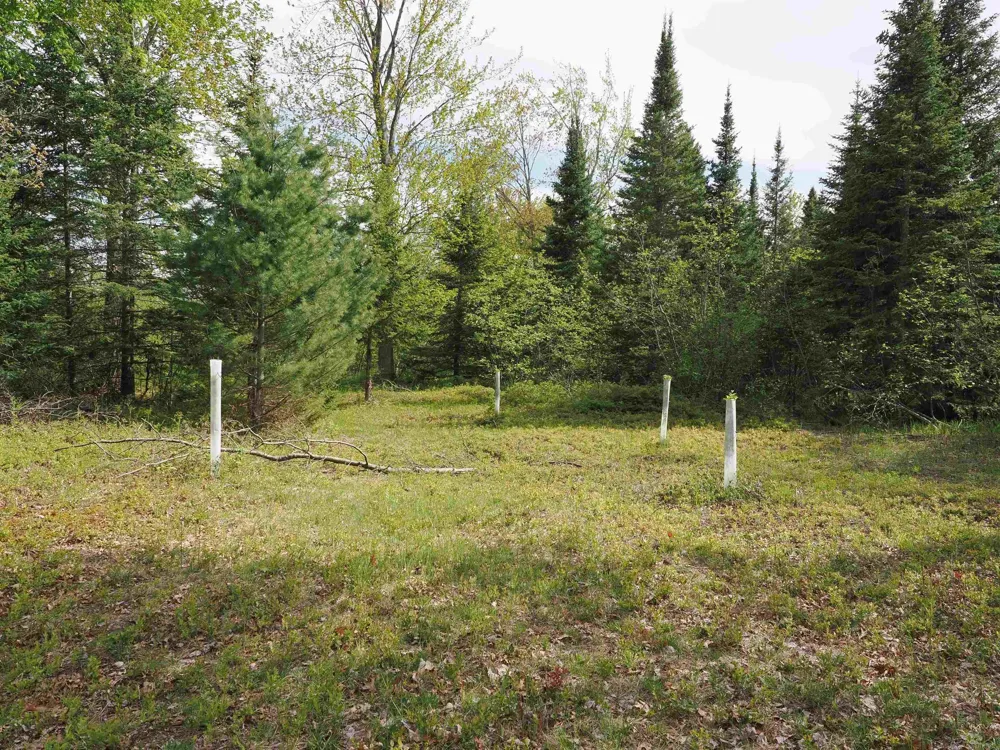 4011 Sandall Road Maple Ridge Township, MI 49707