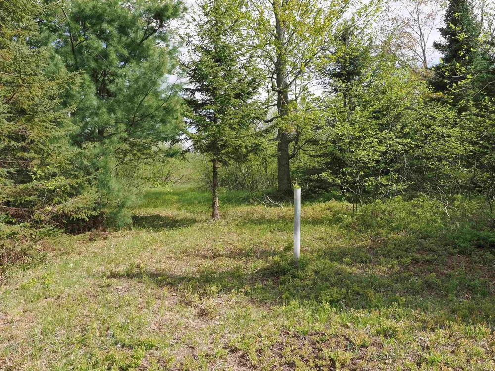 4011 Sandall Road Maple Ridge Township, MI 49707