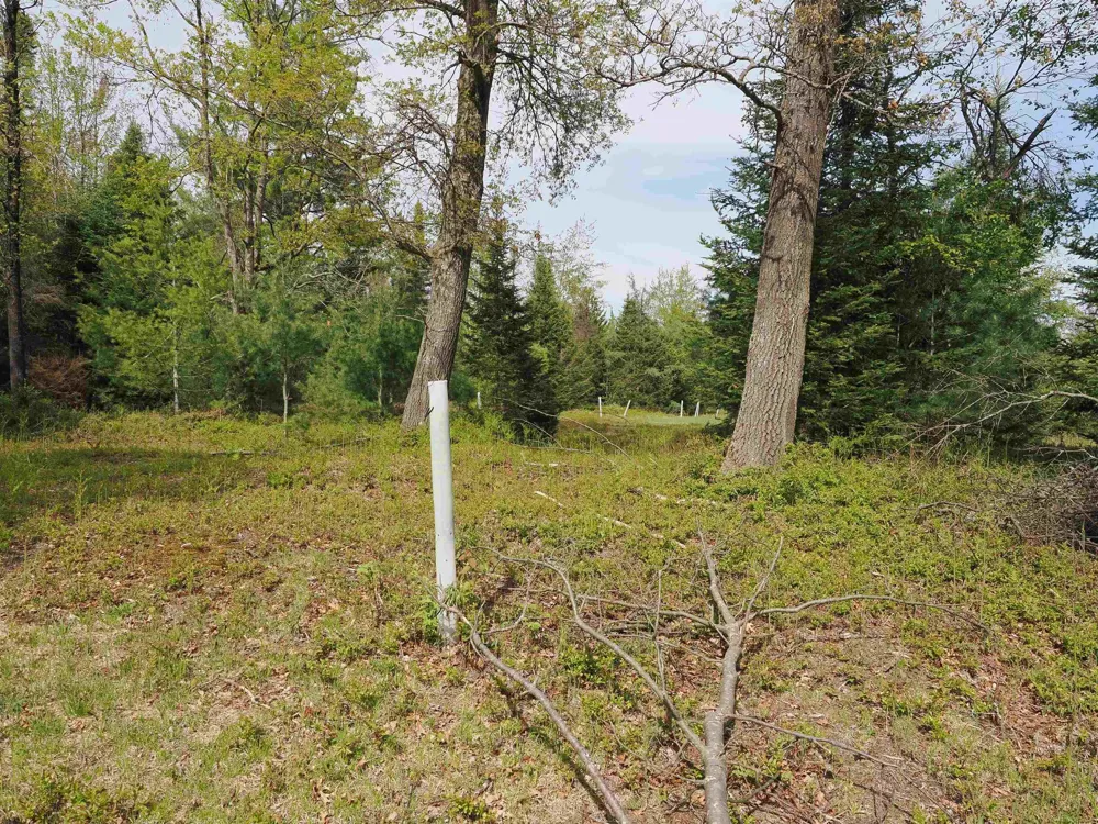 4011 Sandall Road Maple Ridge Township, MI 49707