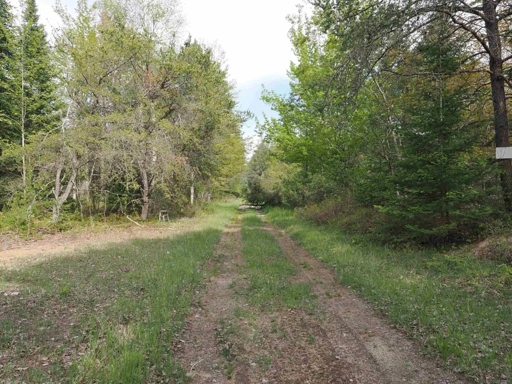 4011 Sandall Road Maple Ridge Township, MI 49707