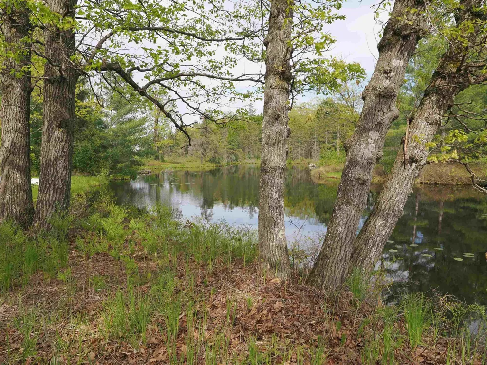 4011 Sandall Road Maple Ridge Township, MI 49707