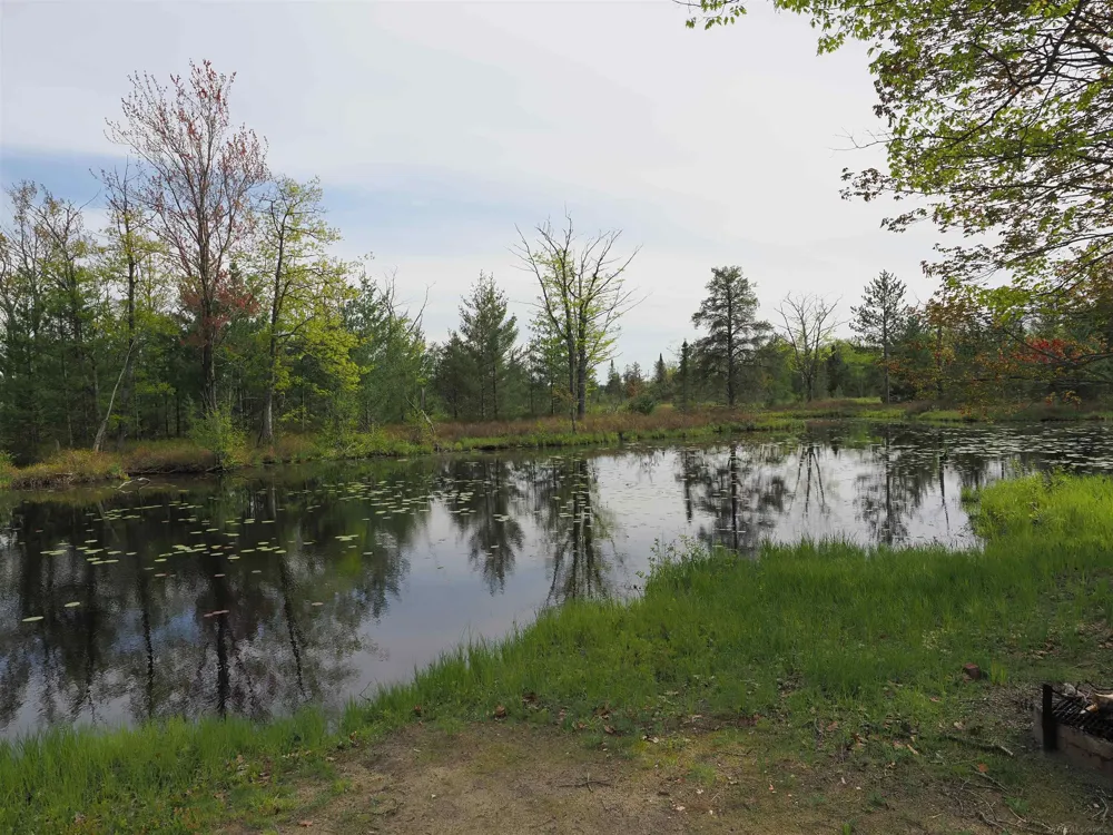 4011 Sandall Road Maple Ridge Township, MI 49707