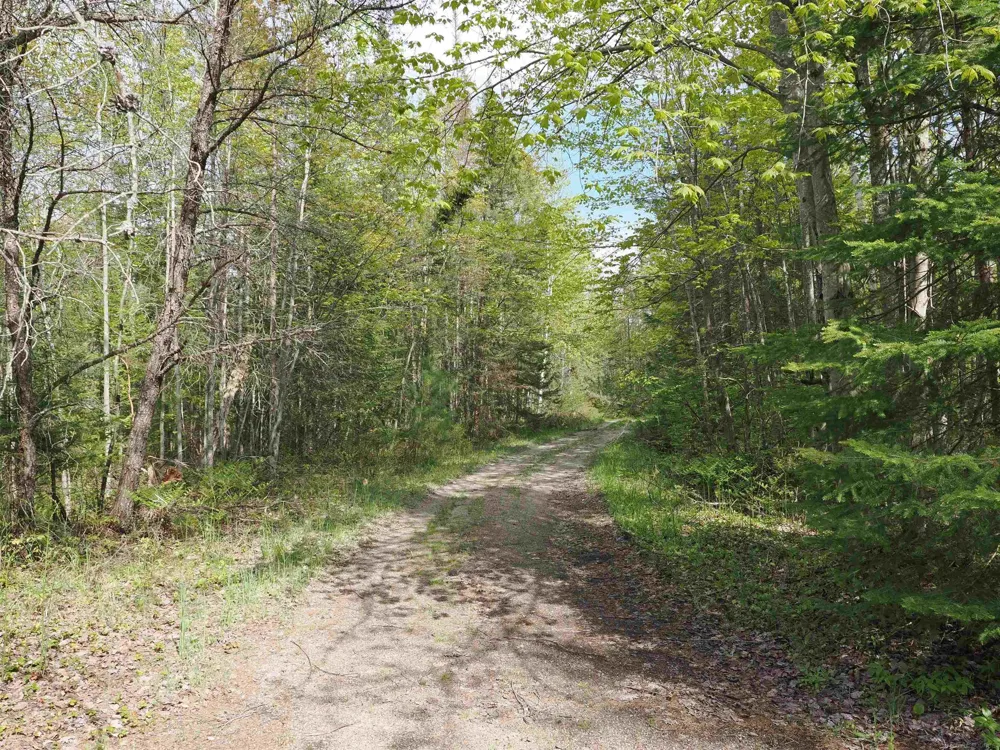 4011 Sandall Road Maple Ridge Township, MI 49707