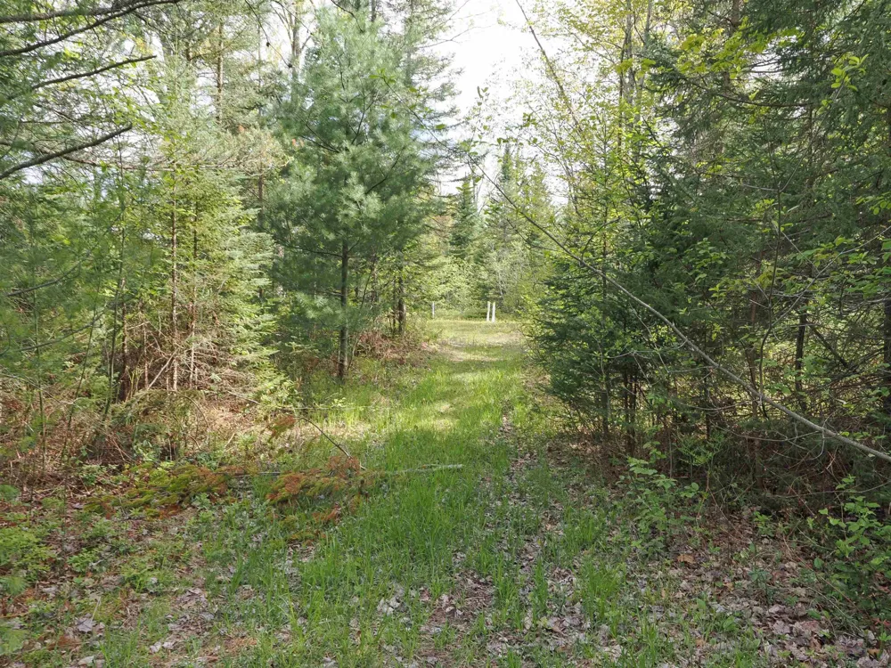 4011 Sandall Road Maple Ridge Township, MI 49707