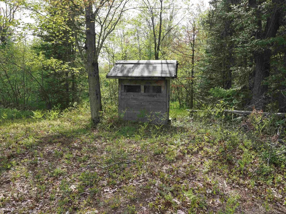 4011 Sandall Road Maple Ridge Township, MI 49707