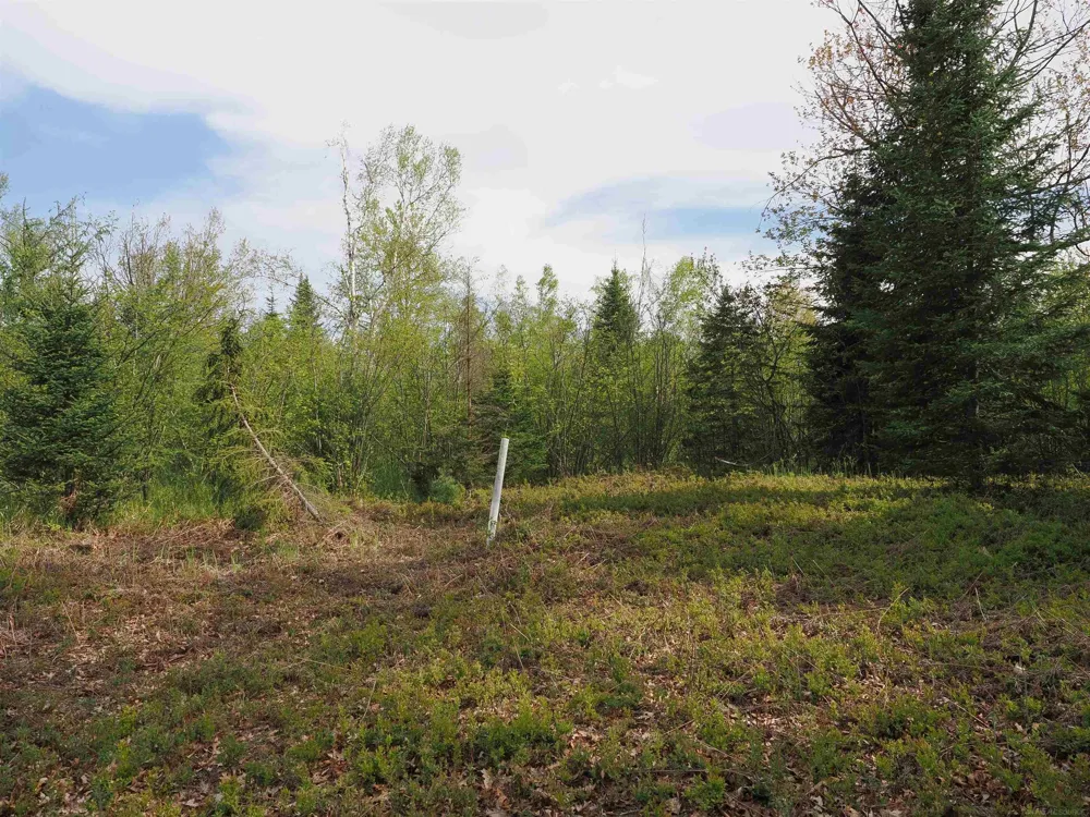 4011 Sandall Road Maple Ridge Township, MI 49707