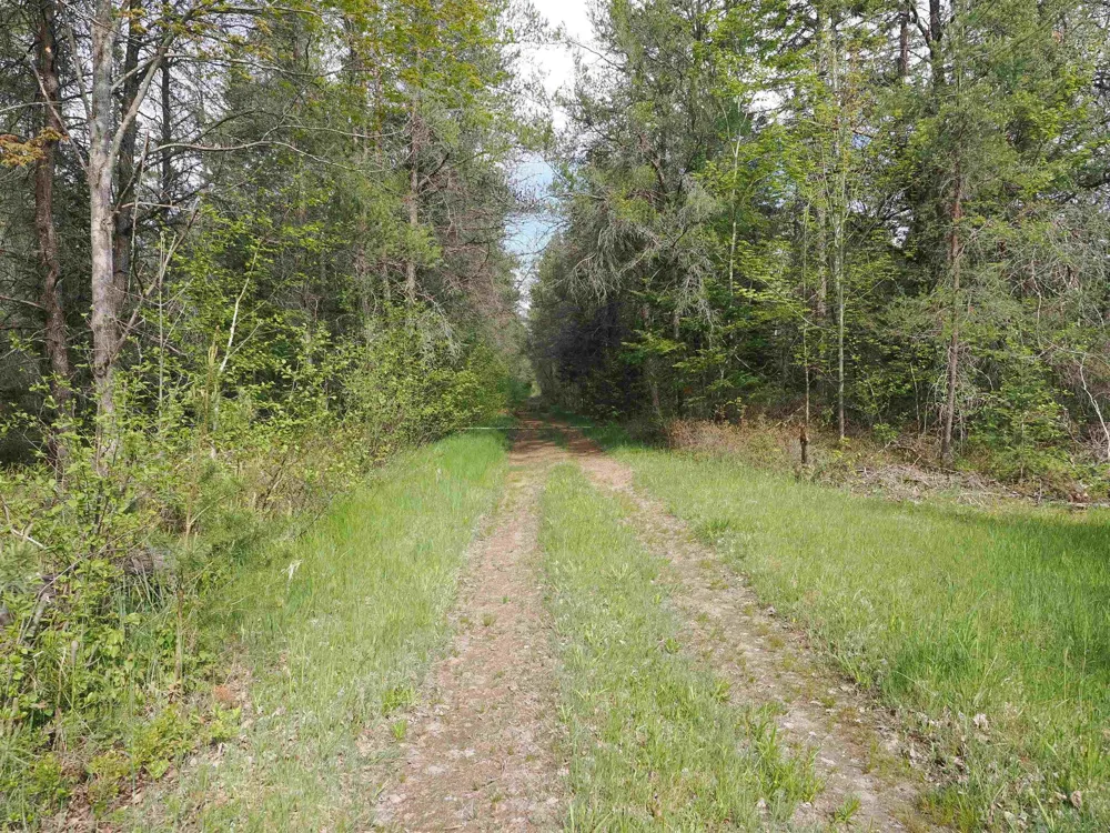 4011 Sandall Road Maple Ridge Township, MI 49707
