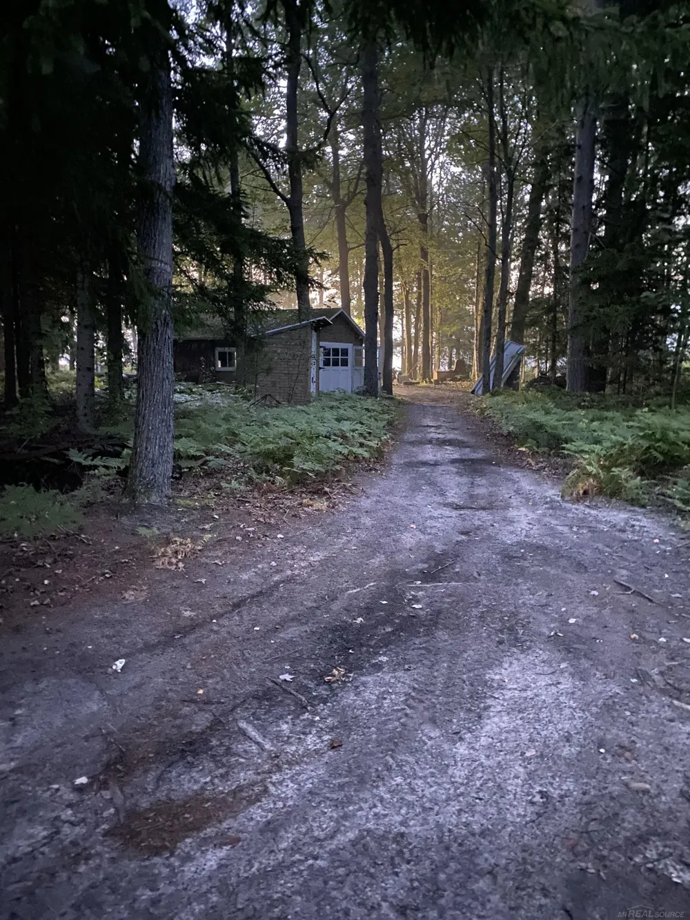 4001 Sandall Road Maple Ridge Township, MI 49707