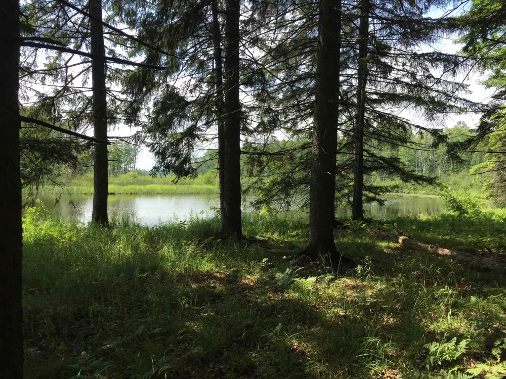 4001 Sandall Road Maple Ridge Township, MI 49707