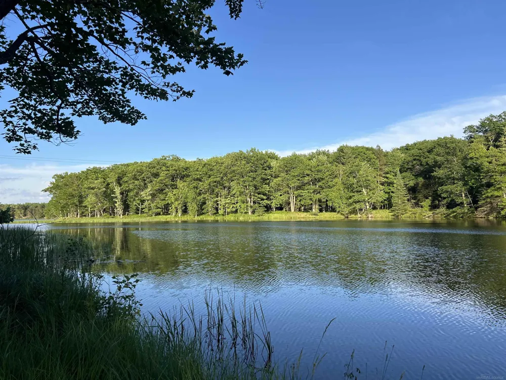 4001 Sandall Road Maple Ridge Township, MI 49707