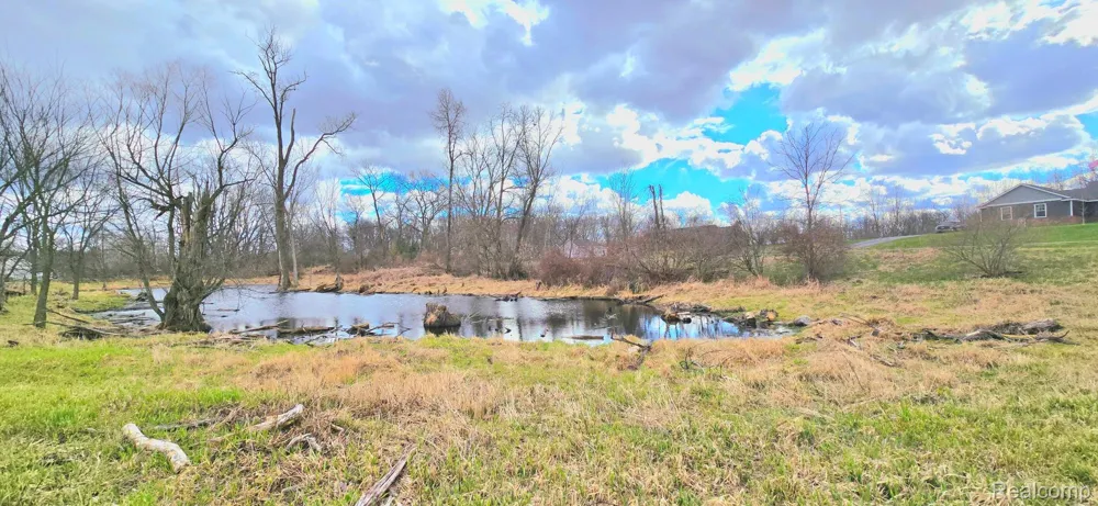 9910 Iosco Ridge Drive Iosco Township, MI 48137