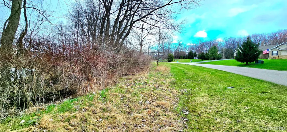 9910 Iosco Ridge Drive Iosco Township, MI 48137