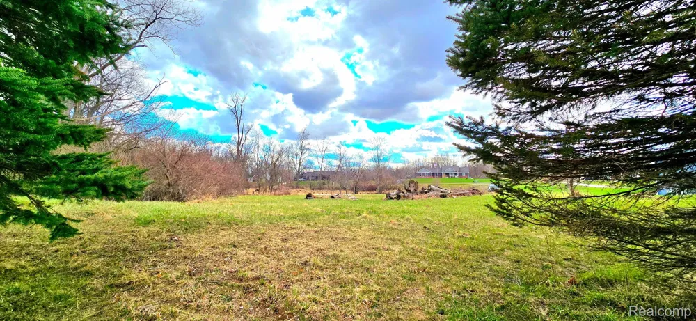 9910 Iosco Ridge Drive Iosco Township, MI 48137