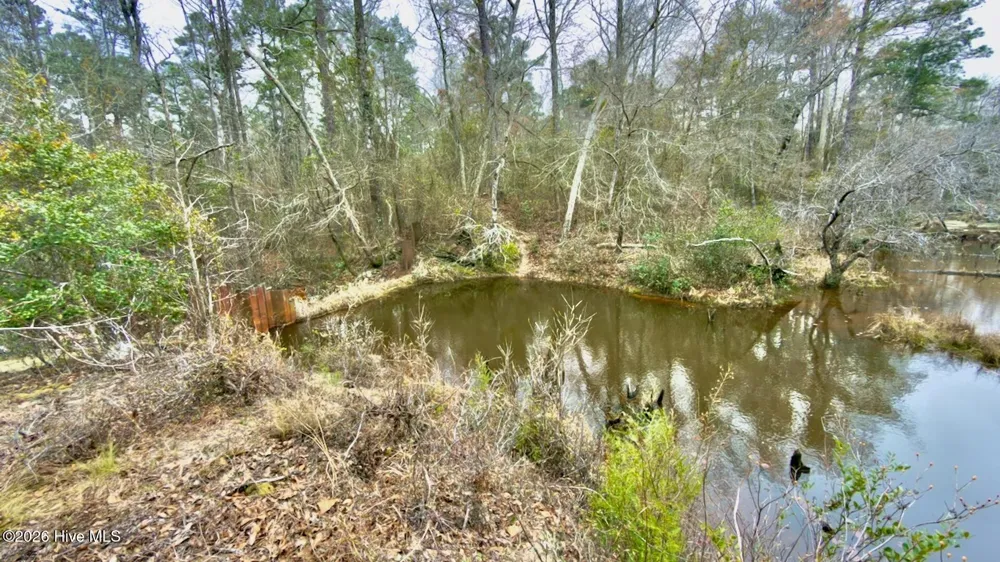 0 Lobelia Road Vass, NC 28394