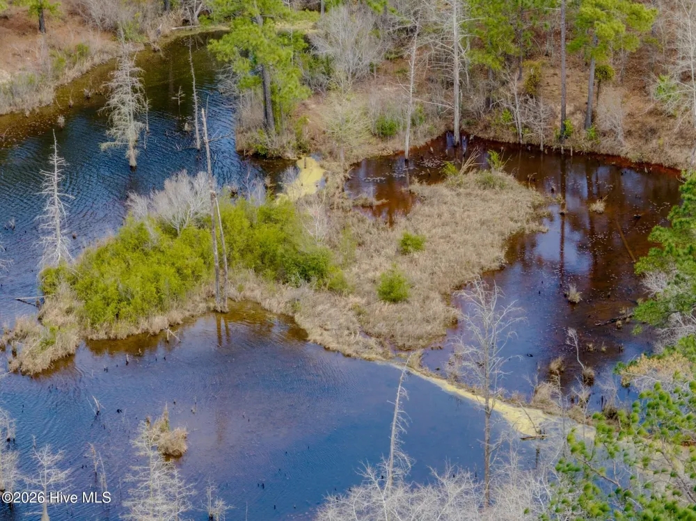 0 Lobelia Road Vass, NC 28394