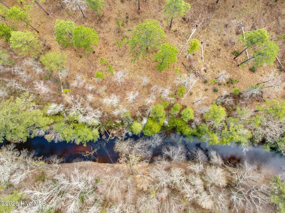 0 Lobelia Road Vass, NC 28394
