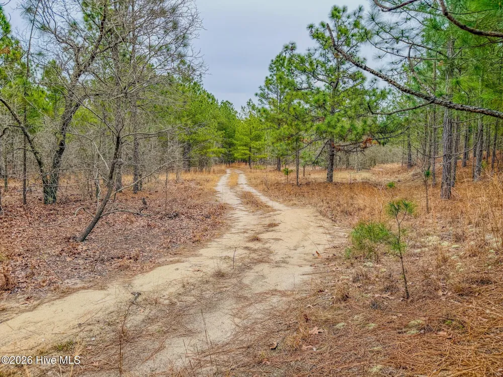 0 Lobelia Road Vass, NC 28394