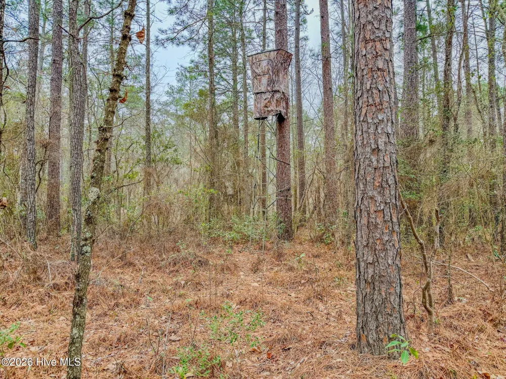 0 Lobelia Road Vass, NC 28394
