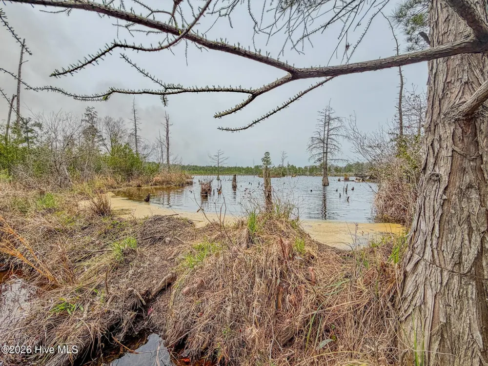 0 Lobelia Road Vass, NC 28394