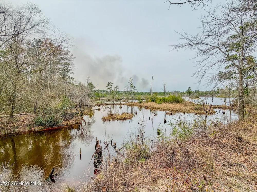 0 Lobelia Road Vass, NC 28394
