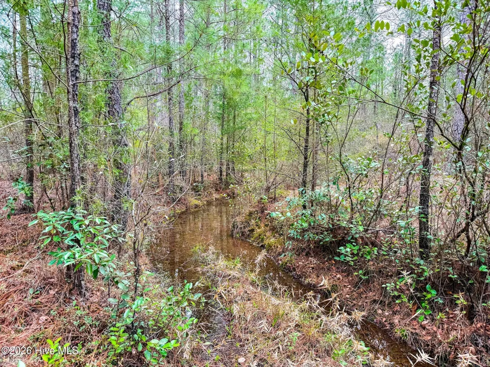 0 Lobelia Road Vass, NC 28394