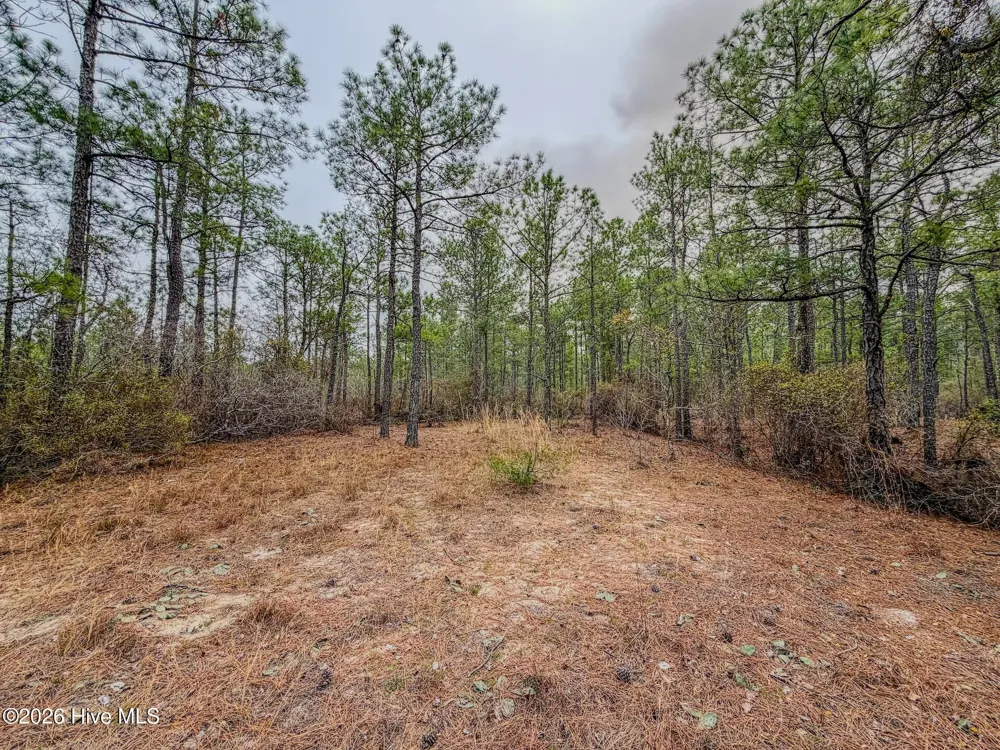 0 Lobelia Road Vass, NC 28394