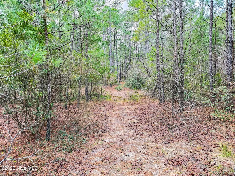 0 Lobelia Road Vass, NC 28394